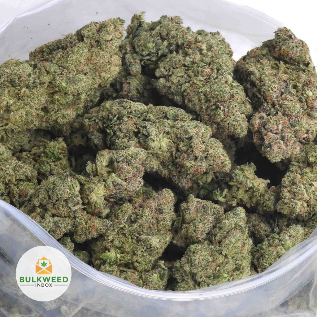 GREASE-MONKEY-AAAA-2