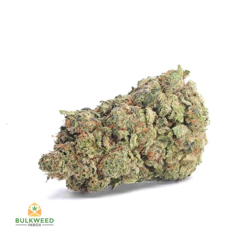 GREASE-MONKEY-AAAA1-2