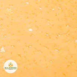 girl-scout-cookies-shatter