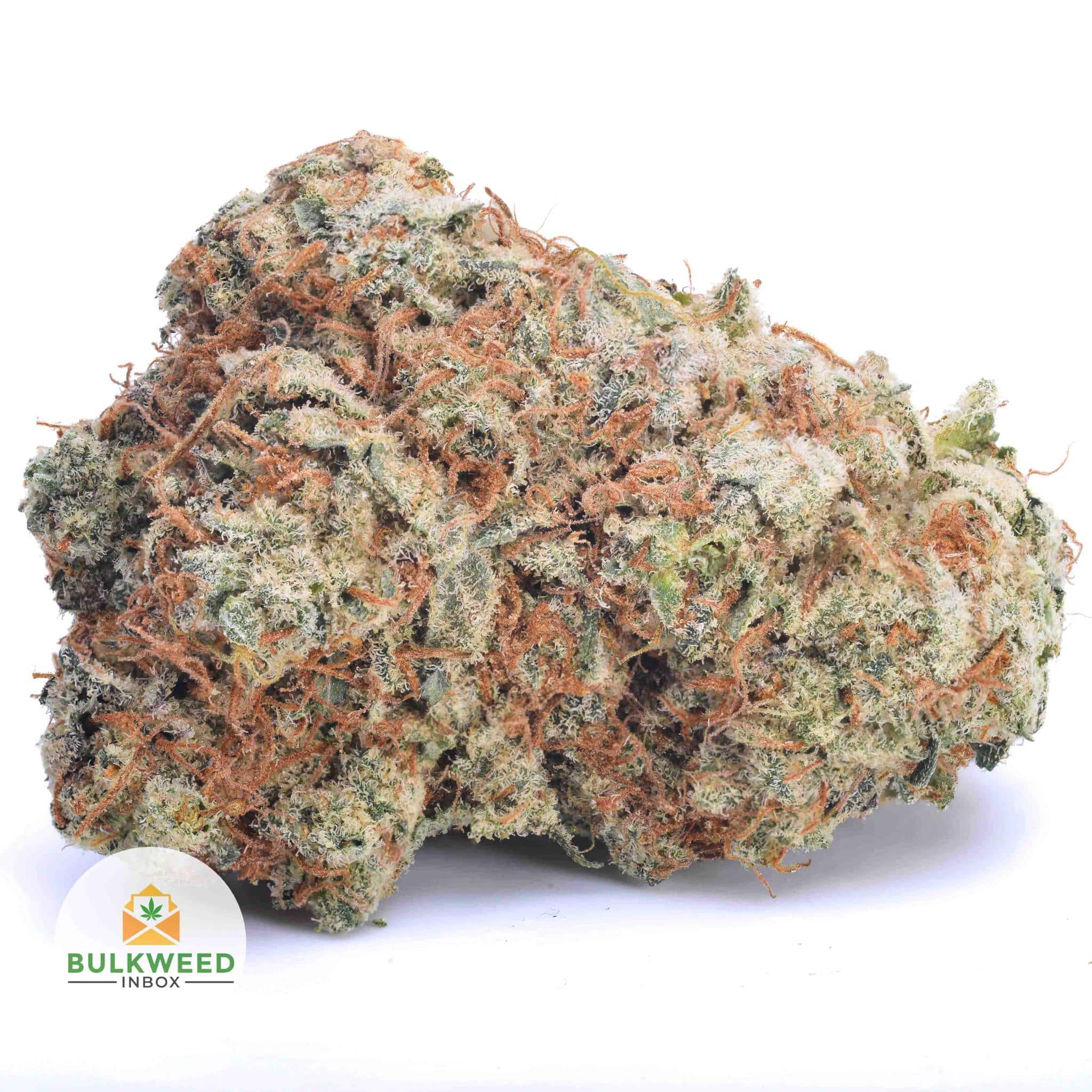 signal-2025-11-20-081613_003