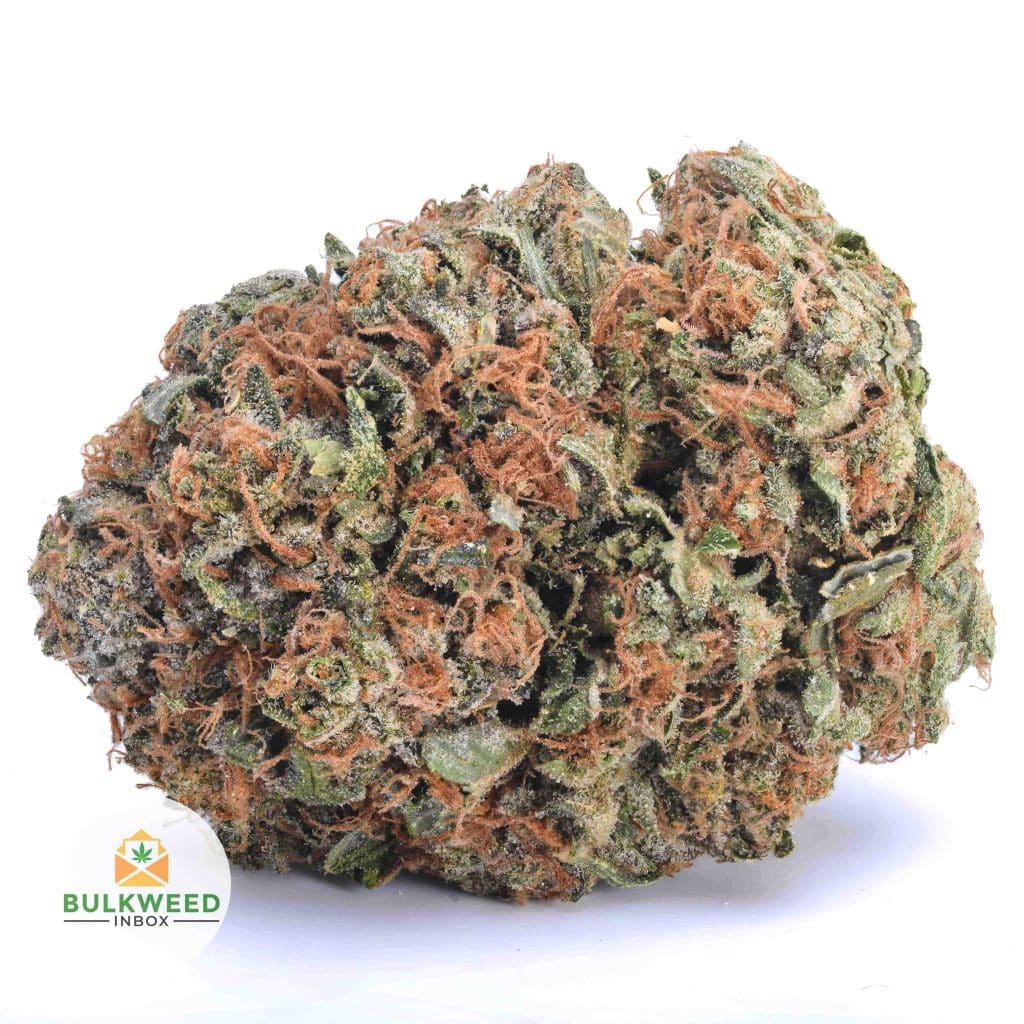 signal-2025-11-20-085704_003