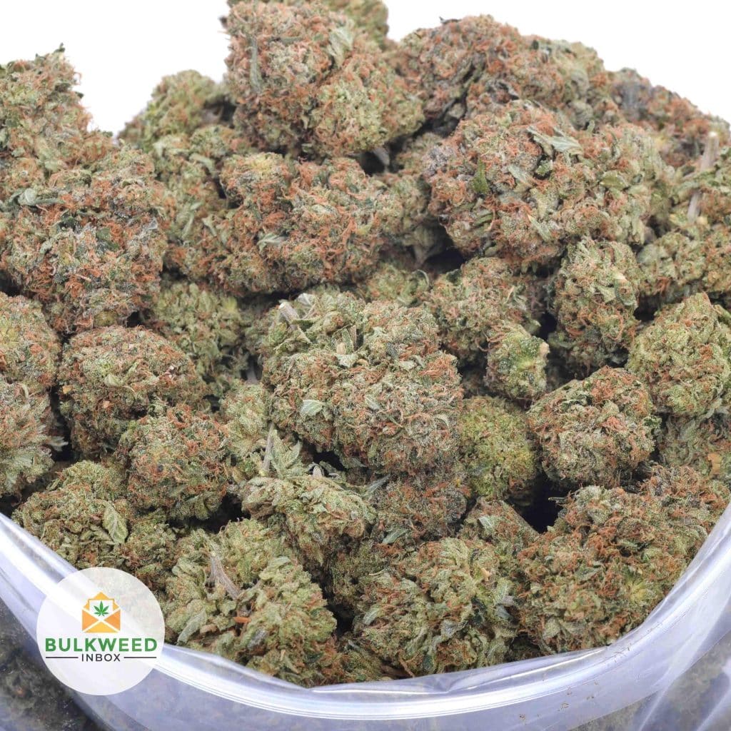 signal-2025-11-20-085704_004