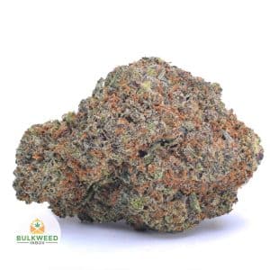 signal-2025-11-20-091449_003