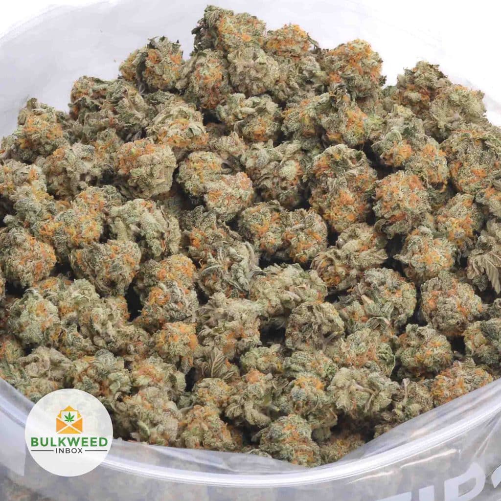 ANIMAL-COOKIES-POPCORN-AAA