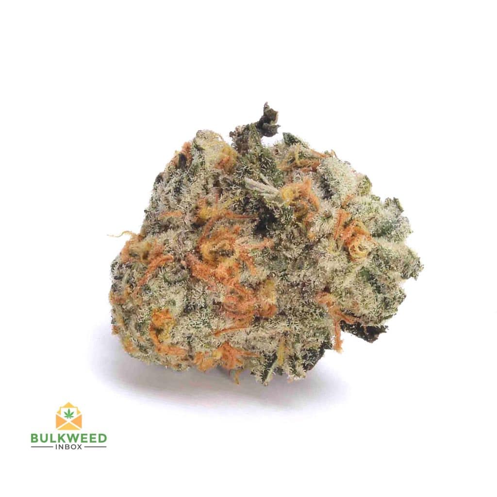 ANIMAL-COOKIES-POPCORN-AAA1