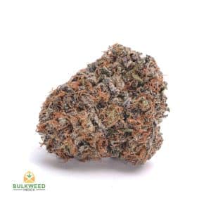PURPLE-MONKEY-BALLS-AAA1