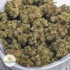 SFV-OG-AA-2