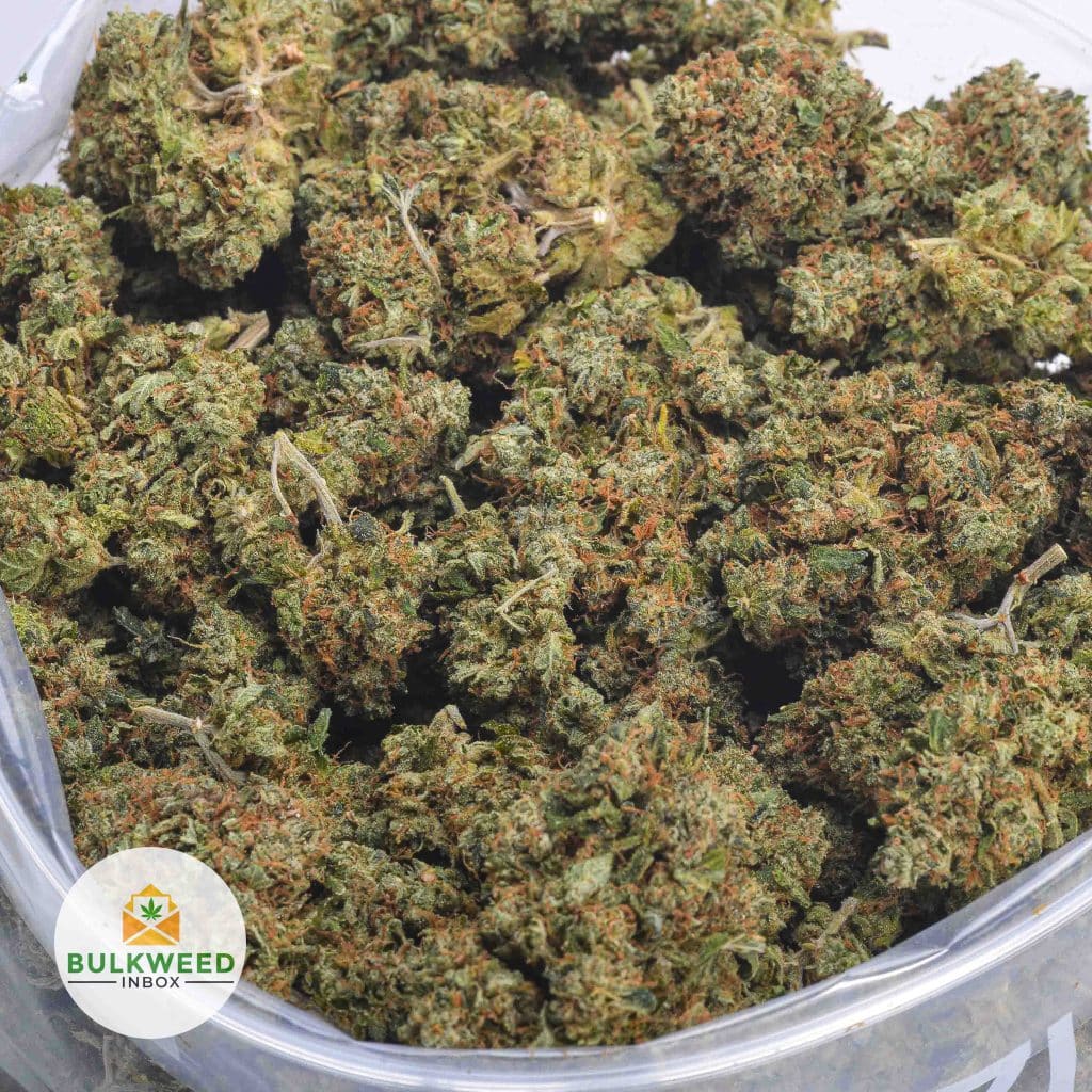 SFV-OG-AA-2