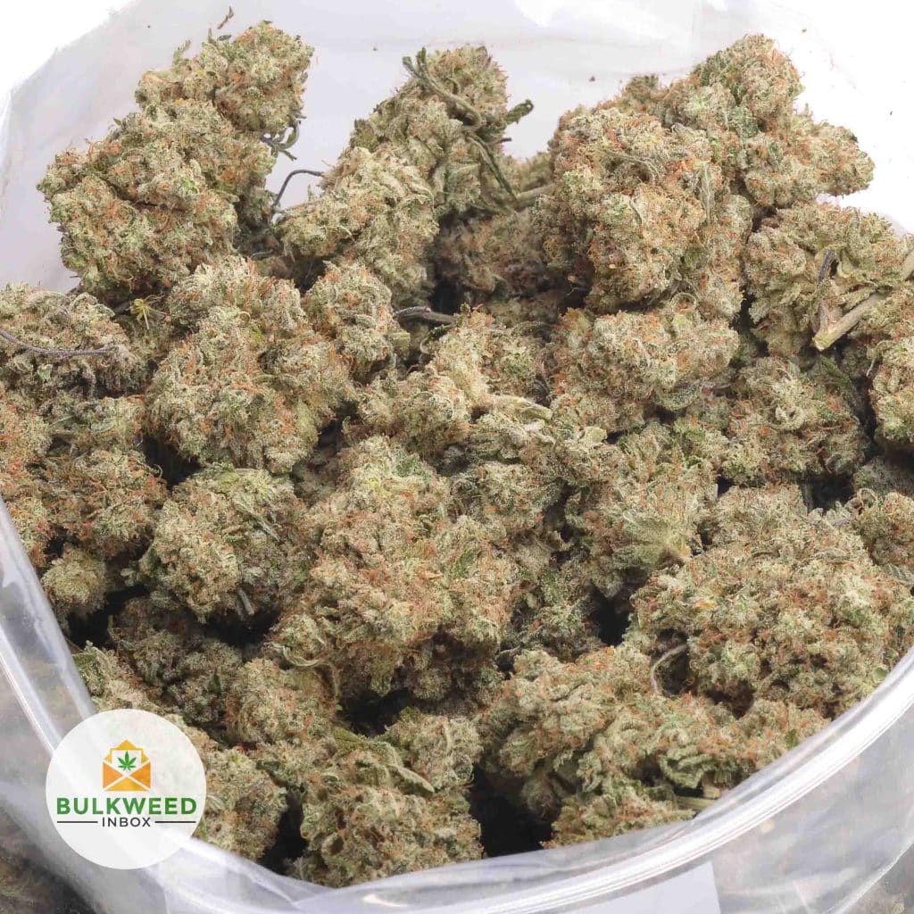 WHITE-OG-AA
