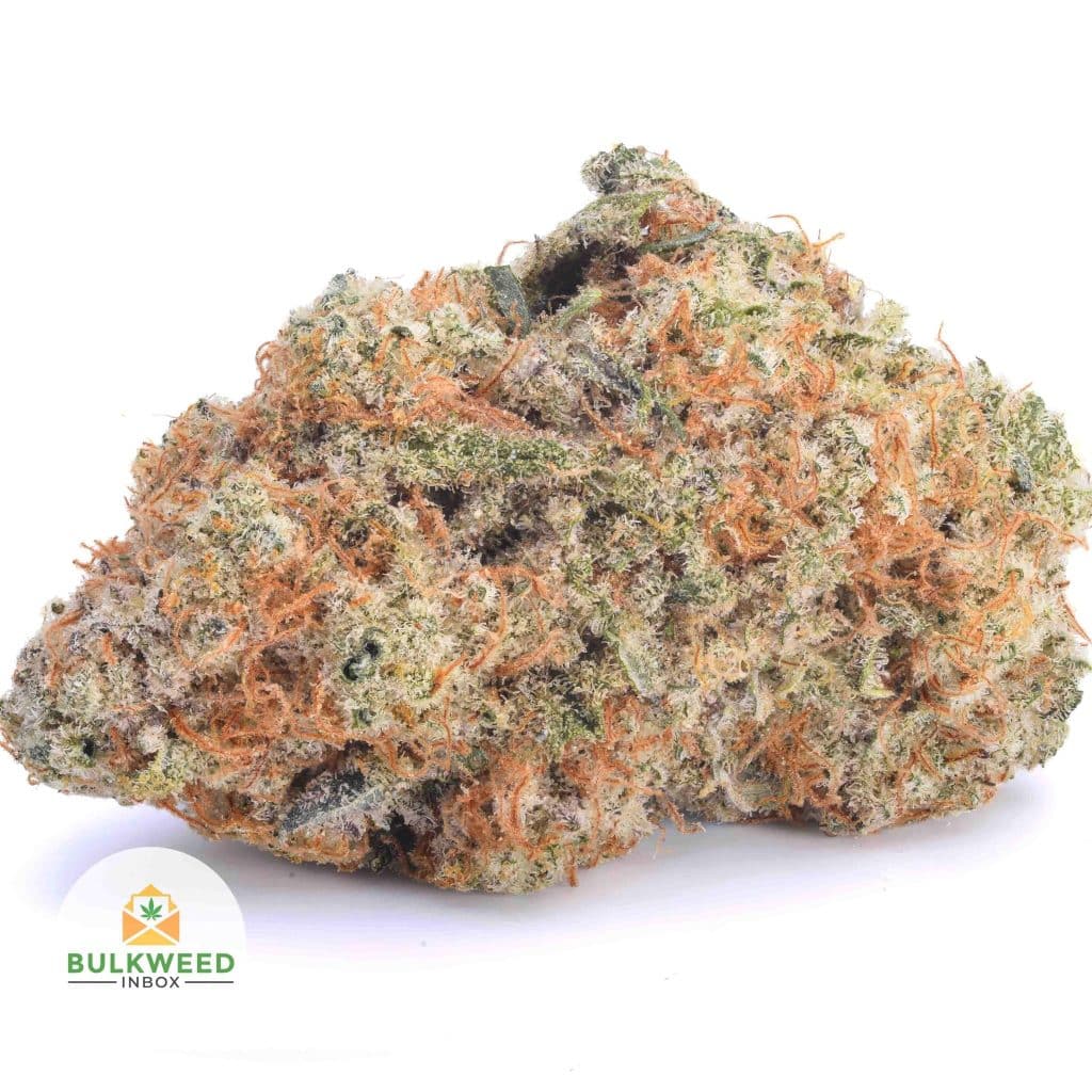 miracle-alien-cookies