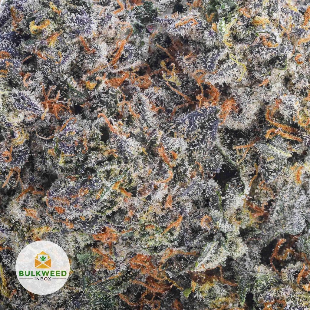 signal-2025-11-20-110738_002