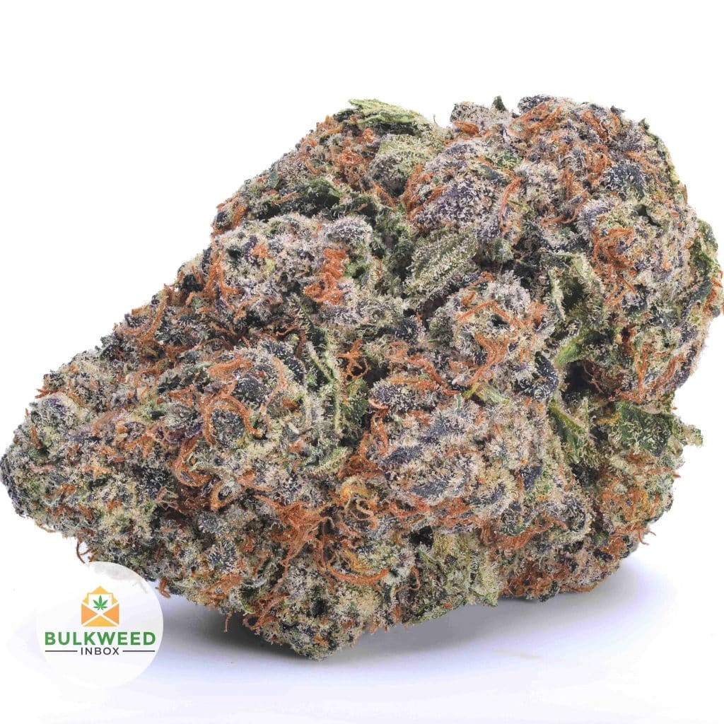 signal-2025-11-20-113136_003