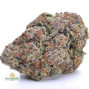 signal-2025-11-20-113136_003