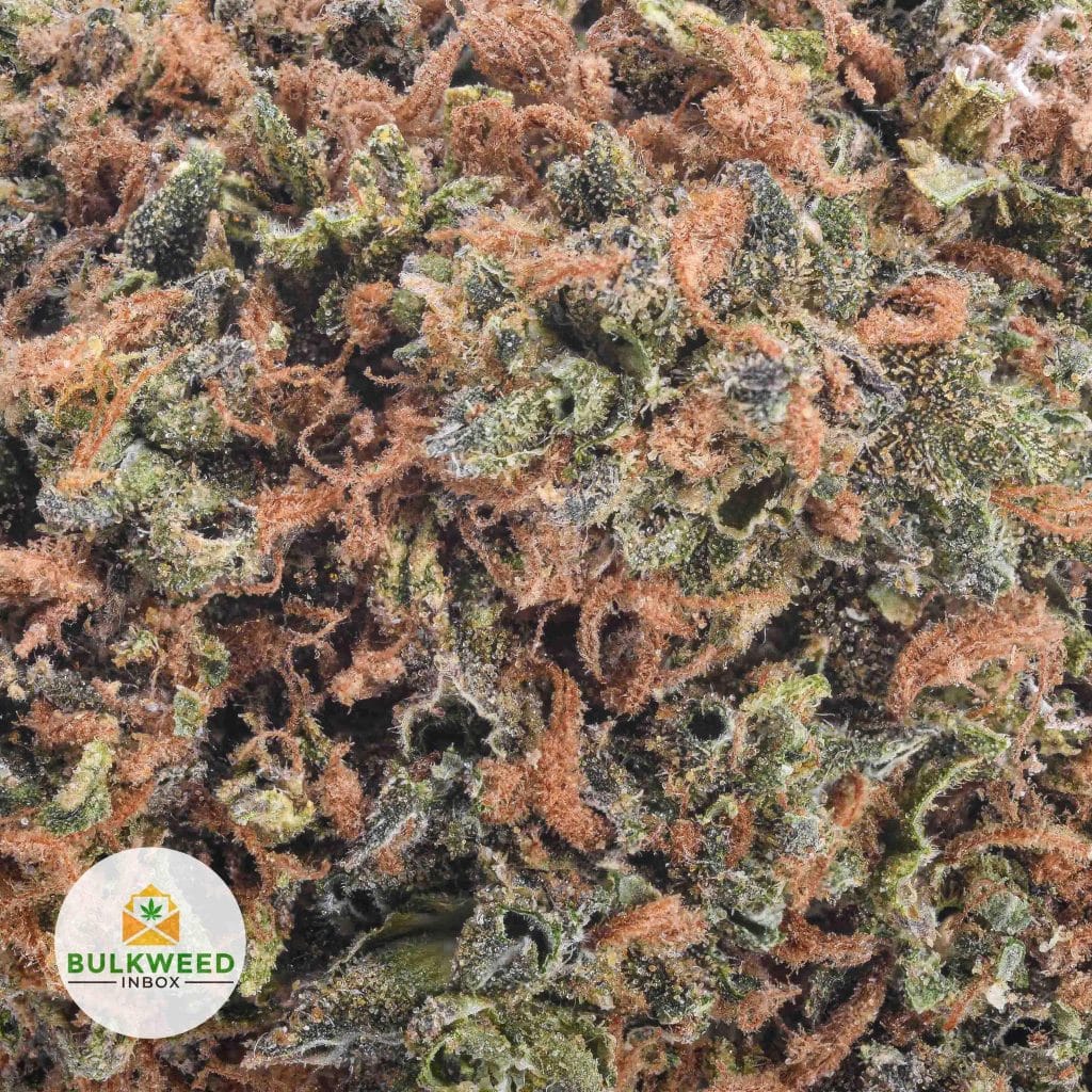 signal-2025-11-20-121748_002