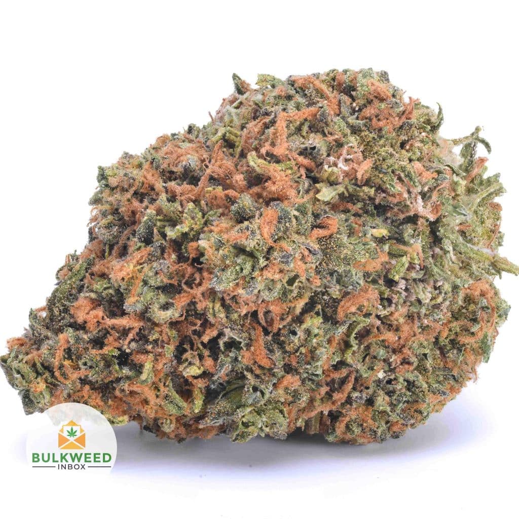 signal-2025-11-20-121748_003