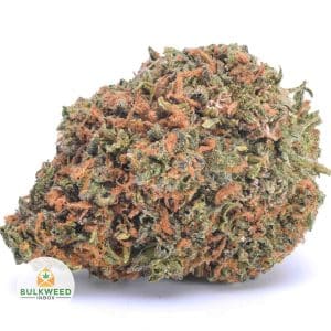 signal-2025-11-20-121748_003