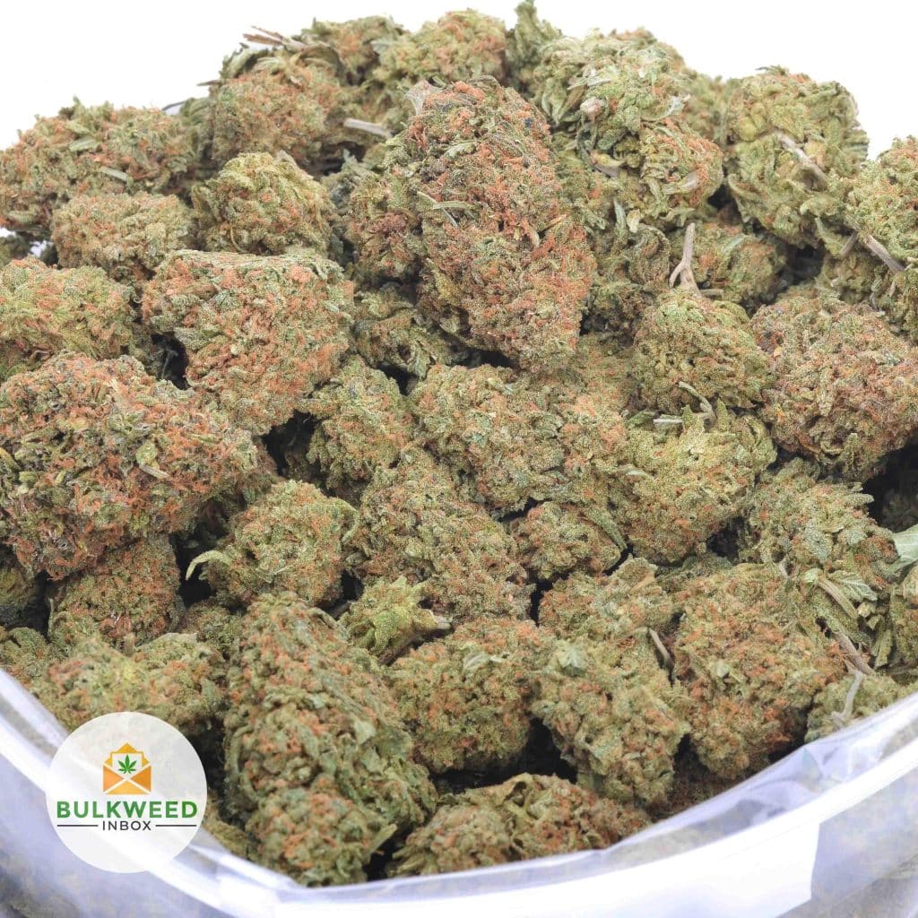 signal-2025-11-20-121748_004