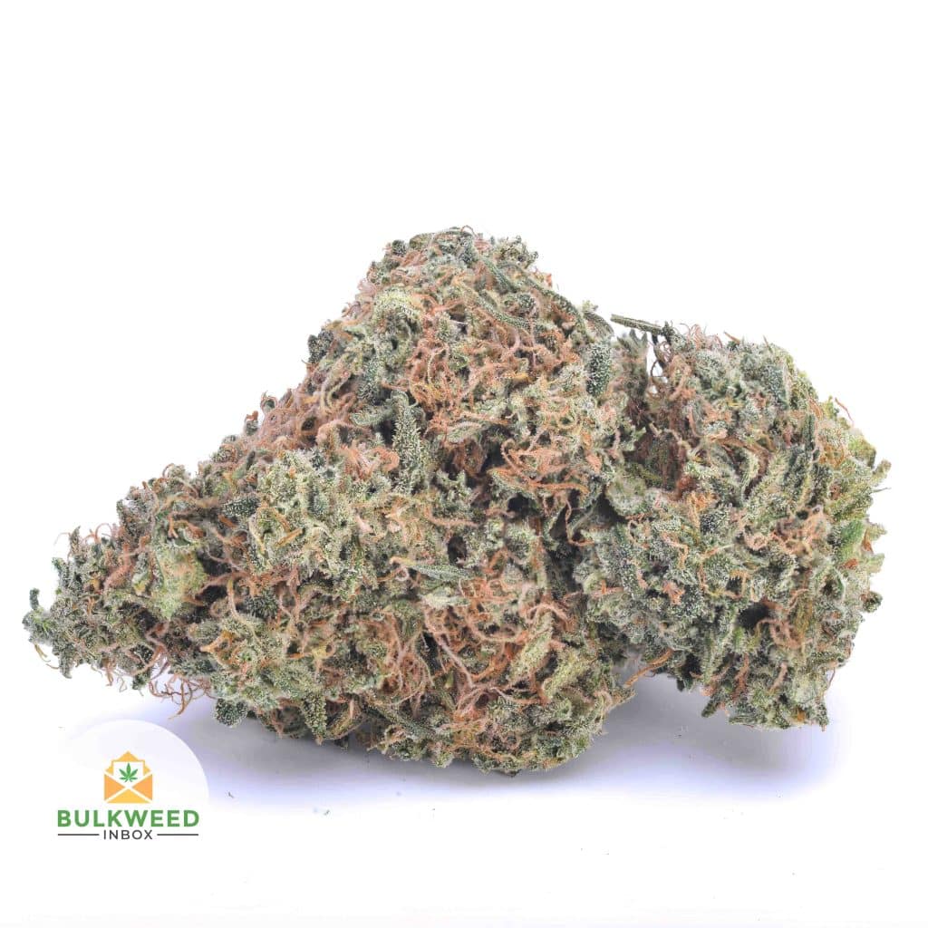 ALIEN-ROCK-CANDY-AAA1