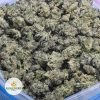 GHOST-TRAIN-HAZE-POPCORN-AAA-2