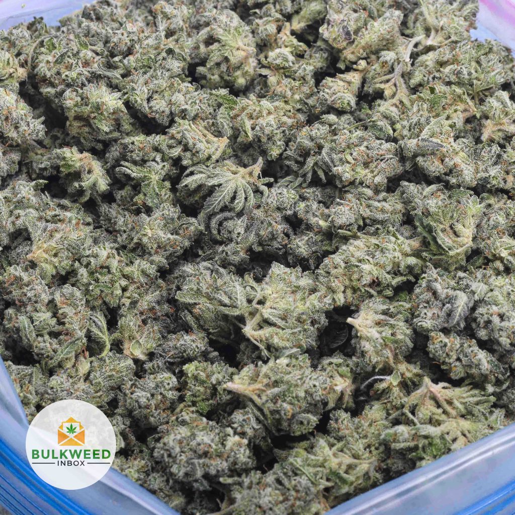 GHOST-TRAIN-HAZE-POPCORN-AAA-2