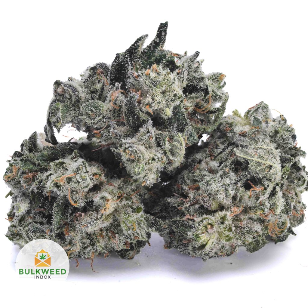 GHOST-TRAIN-HAZE-POPCORN-AAA1-2
