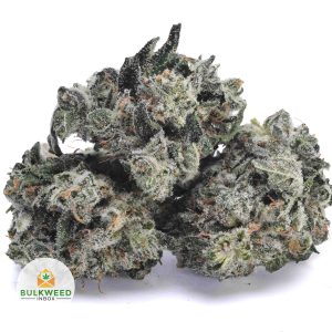 GHOST-TRAIN-HAZE-POPCORN-AAA1-2