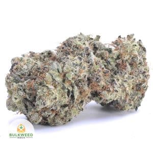 HIPPY-CRASHER-AAAA1-2