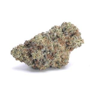 JET-FUEL-NELSON-FARMS-AAAA1