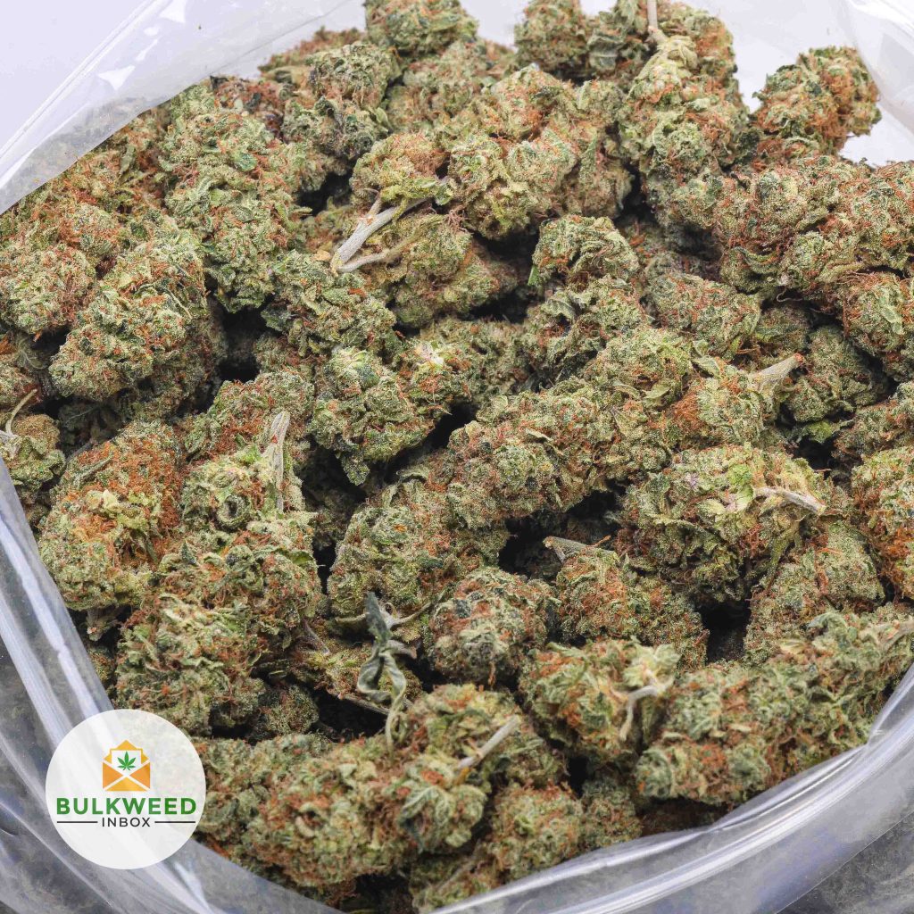 KUSH-MINTS-BB-2