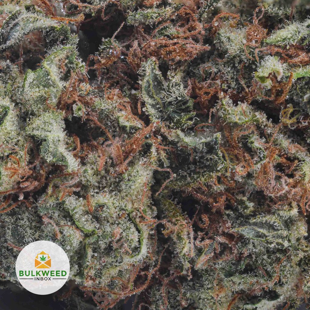 KUSH-MINTS-BB2-2