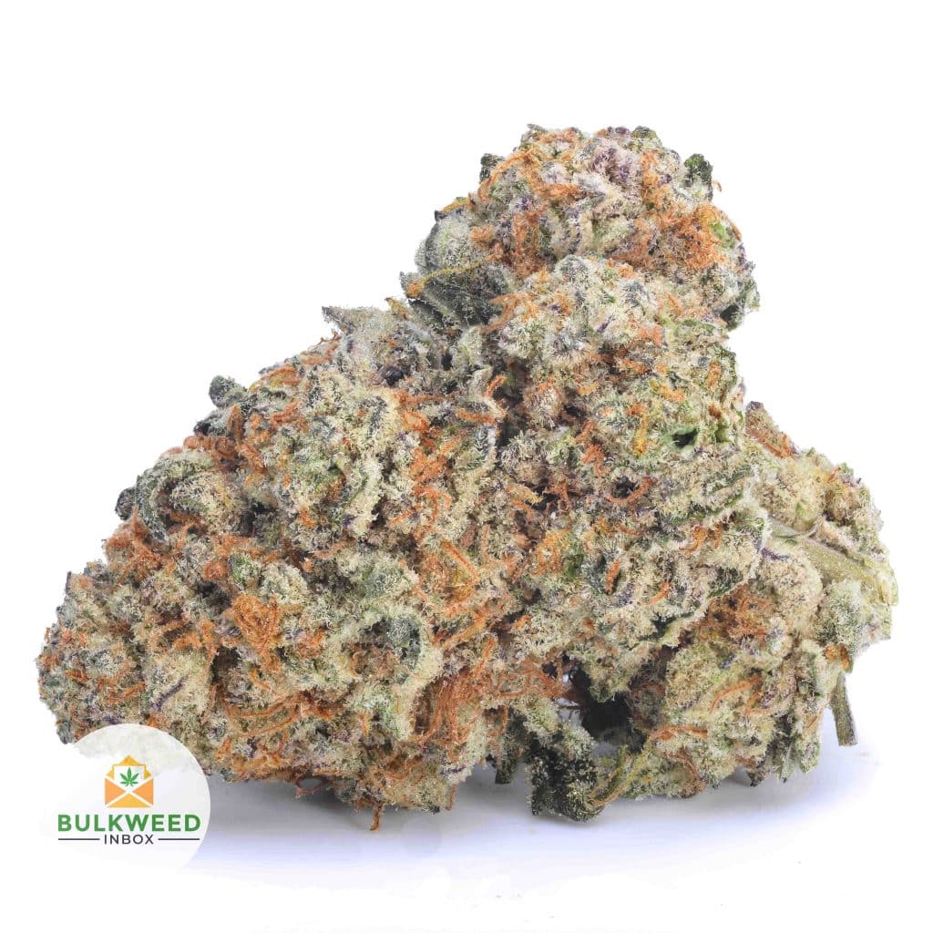 NYC-CHEESECAKE-AA1-2