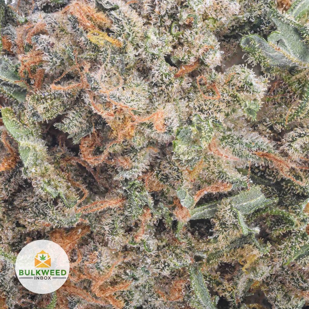 PINEAPPLE-EXPRESS-BBAAA2