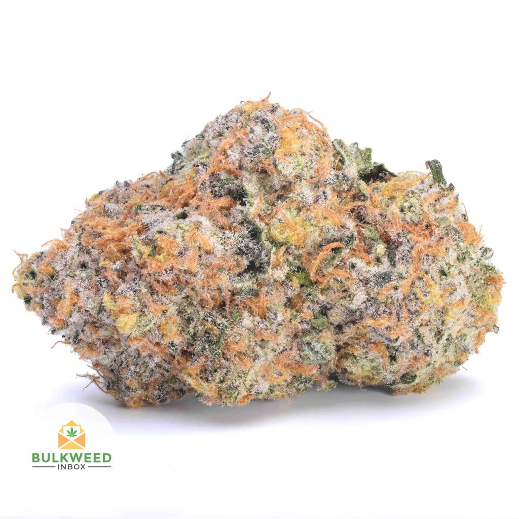 PLUTO-NELSON-FARM-CRAFT-AAAA1