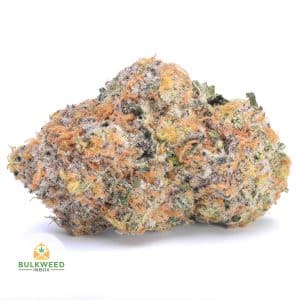 PLUTO-NELSON-FARM-CRAFT-AAAA1