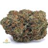 PURPLE-ROCKSTAR-AAA1-2