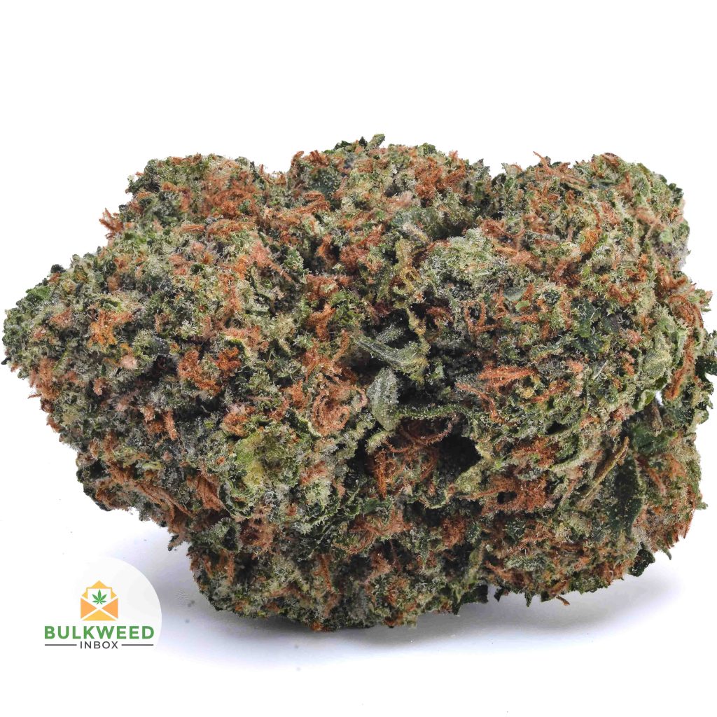 PURPLE-ROCKSTAR-AAA1-2