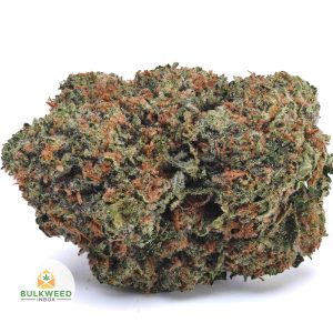 PURPLE-ROCKSTAR-AAA1-2