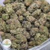 SHERBET-AA-2