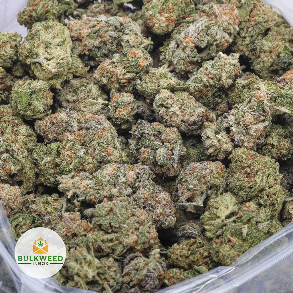 SHERBET-AA-2