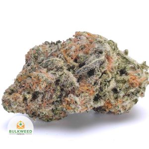 SHERBET-AA1-2