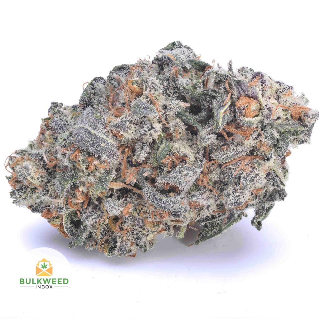 SOUR-AMNESIA-HAZE-AA1