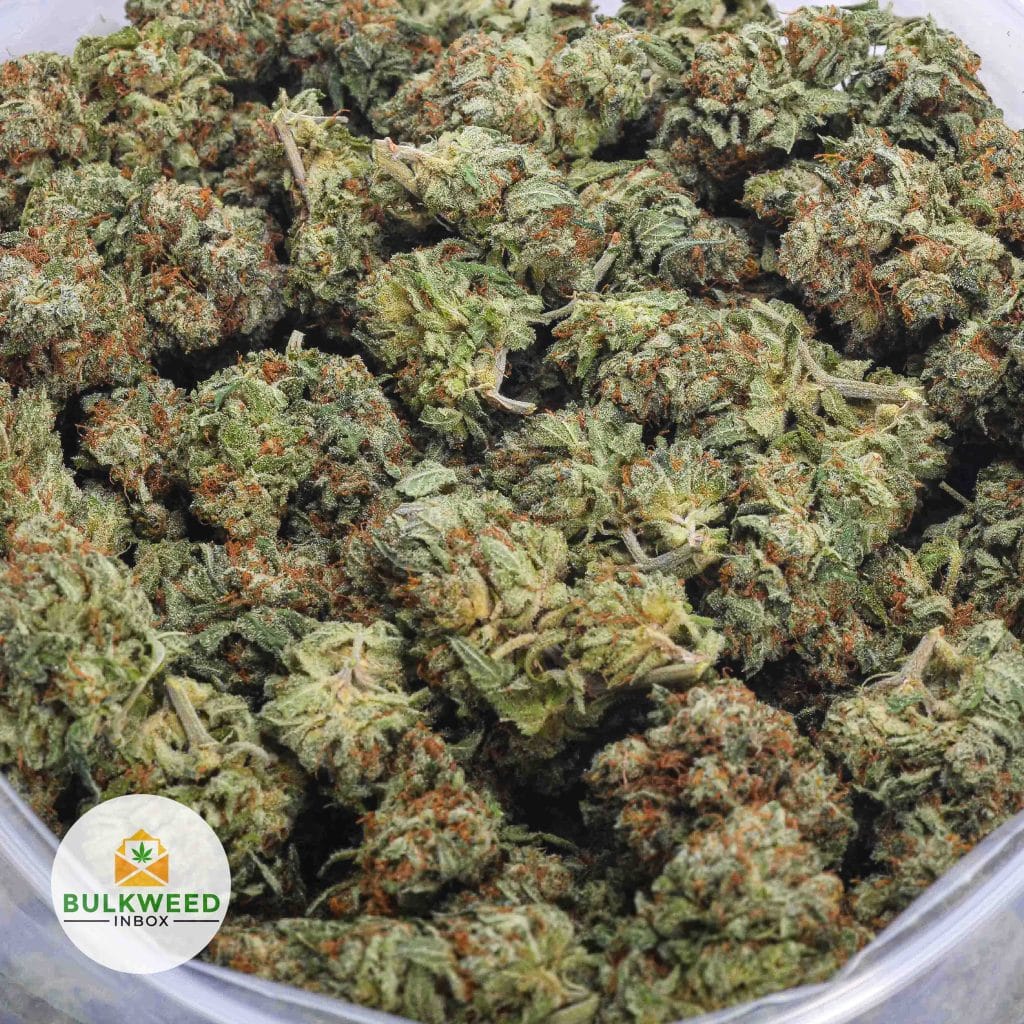 TRAINWRECK-BB-2
