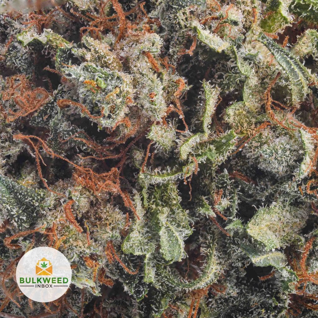 TRAINWRECK-BB2-2