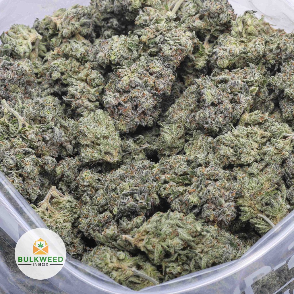 WALTER-WHITE-AAA-2
