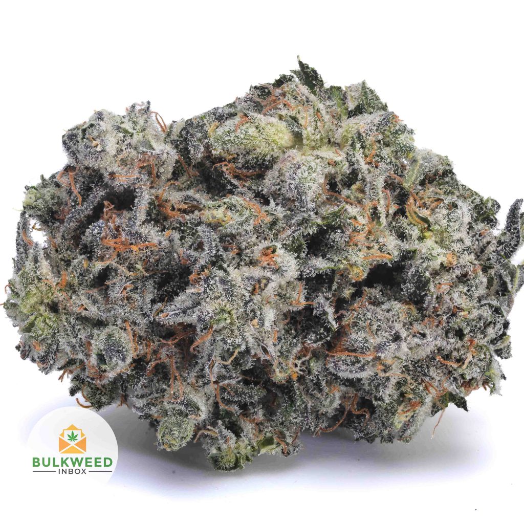 WALTER-WHITE-AAA1-2