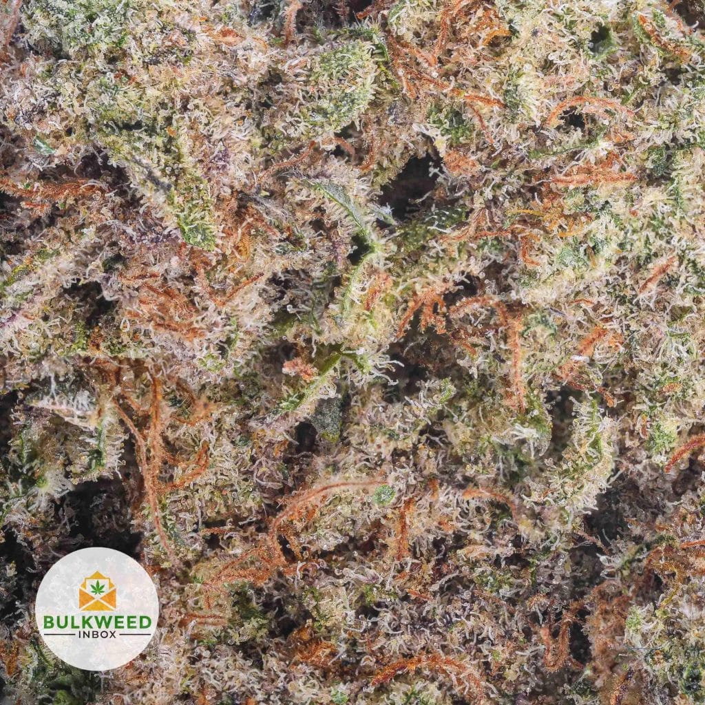 signal-2025-11-13-085142