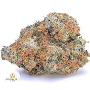 ANIMAL-COOKIES-AA1-2