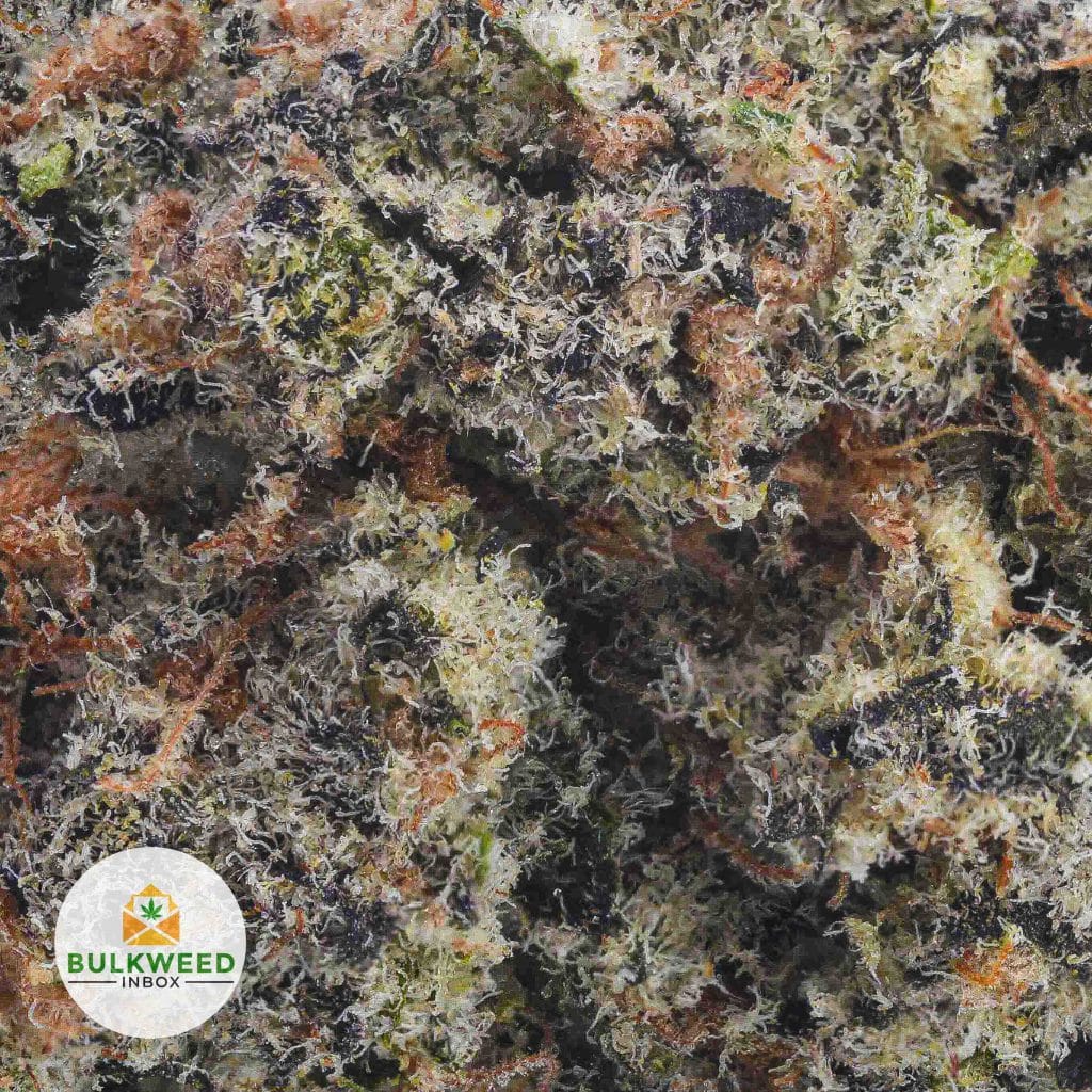 GHOST-TRAIN-HAZE-AAAA2-2-3