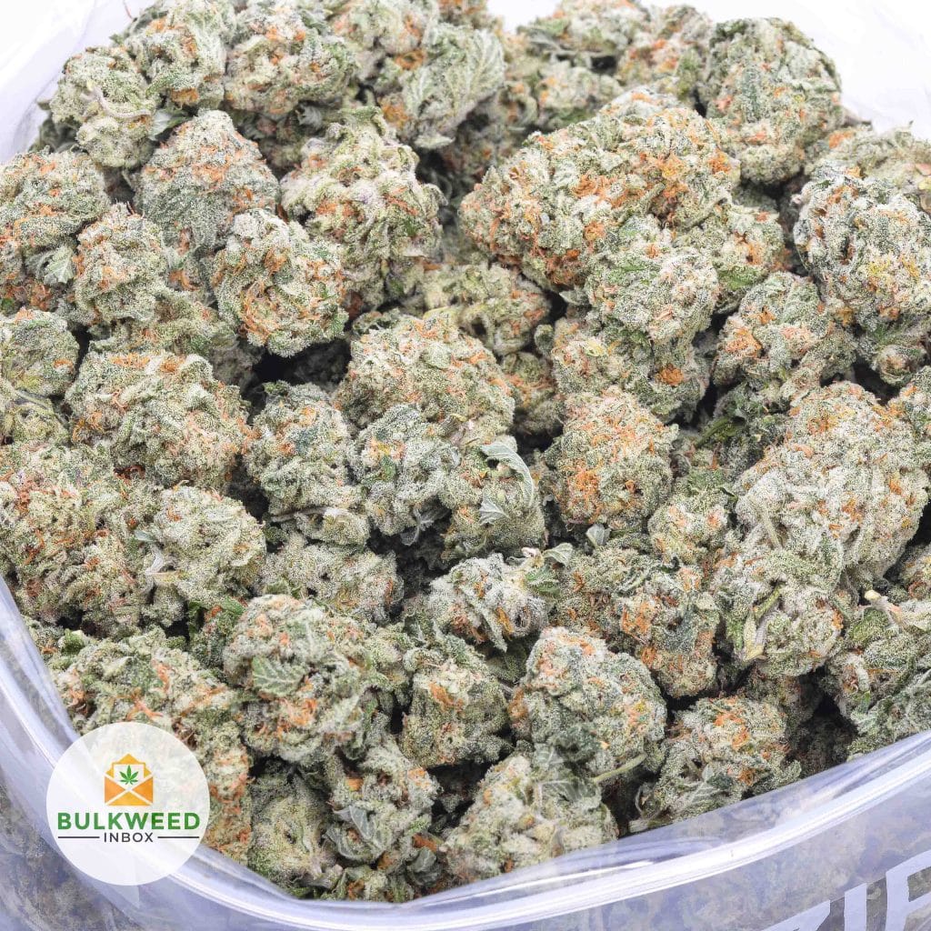 GIRL-SCOUT-COOKIES-AAA-2