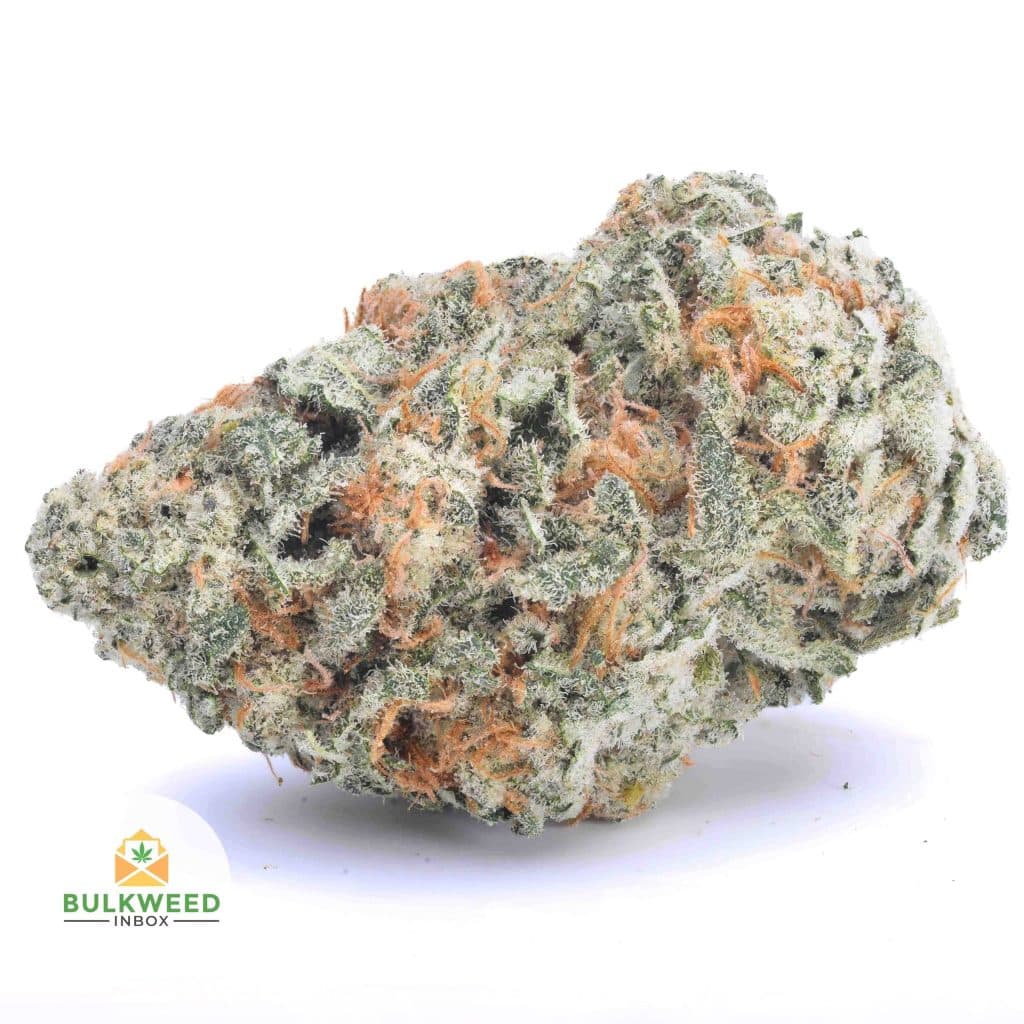 GIRL-SCOUT-COOKIES-AAA1-2-scaled-1